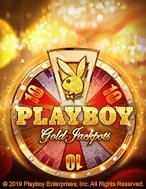 Playboy Gold Jackpots Slot: Hướng Dẫn Đầy Đủ Từ A đến Z Cho Người Mới