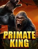 Vua Khỉ – Primate King Slot: Hướng Dẫn Đầy Đủ Từ A đến Z Cho Người Mới