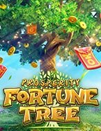 Chơi Cây Thịnh Vượng – Prosperity Fortune Tree Slot Ngay Hôm Nay – Phiêu Lưu Đến Thế Giới Kỳ Diệu!