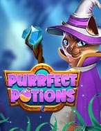 Đánh Giá Purrfect Potions Slot: Kỳ Quan Game Slot Mới Nhất