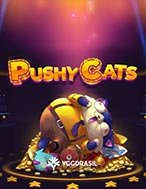 Đánh Giá Pushy Cats Slot: Kỳ Quan Game Slot Mới Nhất