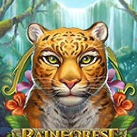 Chơi Thần Rừng – Rainforest Magic Slot Ngay Hôm Nay – Phiêu Lưu Đến Thế Giới Kỳ Diệu!