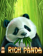 Rich Panda Slot: Hướng Dẫn Đầy Đủ Từ A đến Z Cho Người Mới