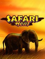 Cách Chinh Phục Safari Heat Slot: Chiến Lược và Hướng Dẫn