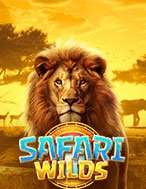 Chơi Mãnh Thú Vương – Safari Wilds Slot Ngay Hôm Nay – Phiêu Lưu Đến Thế Giới Kỳ Diệu!