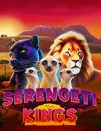 Vua Muôn Thú – Serengeti Kings Slot: Hướng Dẫn Đầy Đủ Từ A đến Z Cho Người Mới