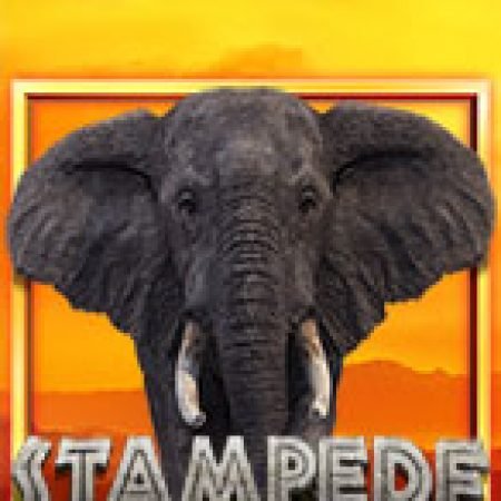 Đánh Giá Stampede Slot: Kỳ Quan Game Slot Mới Nhất