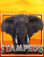 Đánh Giá Stampede Slot: Kỳ Quan Game Slot Mới Nhất