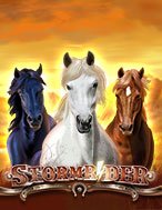 Storm Rider Slot: Hướng Dẫn Chi Tiết Để Thắng Lớn và Giành Jackpot!