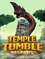 Temple Tumble Megaways Slot: Hướng Dẫn Đầy Đủ Từ A đến Z Cho Người Mới