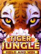 Cách Chinh Phục Tiger Jungle Slot: Chiến Lược và Hướng Dẫn