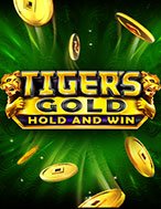 Tiger’s Gold Slot: Hướng Dẫn Đầy Đủ Từ A đến Z Cho Người Mới