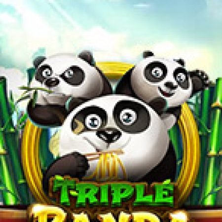 Cách Chinh Phục Triple Panda Slot: Chiến Lược và Hướng Dẫn