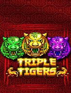 Đánh Giá Tam Hổ Phát Tài – Triple Tigers Slot: Kỳ Quan Game Slot Mới Nhất