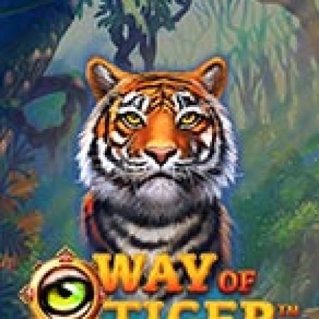 Way of the Tiger Slot: Hướng Dẫn Đầy Đủ Từ A đến Z Cho Người Mới