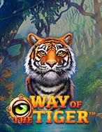 Way of the Tiger Slot: Hướng Dẫn Đầy Đủ Từ A đến Z Cho Người Mới