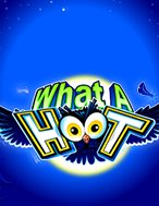 Đêm Cú Vọ – What A Hoot Slot: Hướng Dẫn Đầy Đủ Từ A đến Z Cho Người Mới