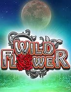 Cách Chinh Phục Slots Hoa Dại – Wild Flower: Chiến Lược và Hướng Dẫn