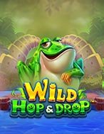 Khu Vườn Ếch – Wild Hop & Drop Slot: Hướng Dẫn Đầy Đủ Từ A đến Z Cho Người Mới