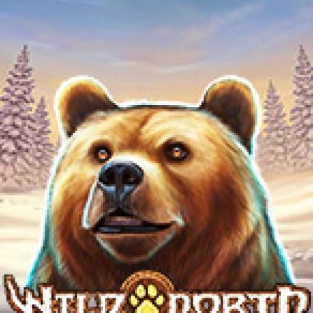 Đánh Giá Phương Bắc Hoang Dã – Wild North Slot: Kỳ Quan Game Slot Mới Nhất