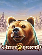 Đánh Giá Phương Bắc Hoang Dã – Wild North Slot: Kỳ Quan Game Slot Mới Nhất