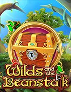 Wilds and The Beanstalk Slot: Hướng Dẫn Đầy Đủ Từ A đến Z Cho Người Mới