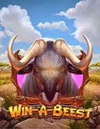 Cách Chinh Phục Bò Rừng Cuồng Nộ – Win-A-Beest Slot: Chiến Lược và Hướng Dẫn