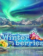 Đánh Giá Winterberries Slot: Kỳ Quan Game Slot Mới Nhất