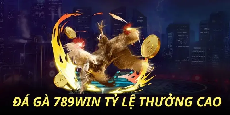 Tại sao nên chọn 789win để chơi đá gà?