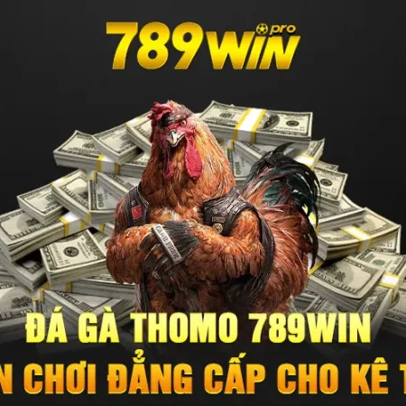 Đá gà 789win – Trải nghiệm đỉnh cao với những trận đấu hấp dẫn